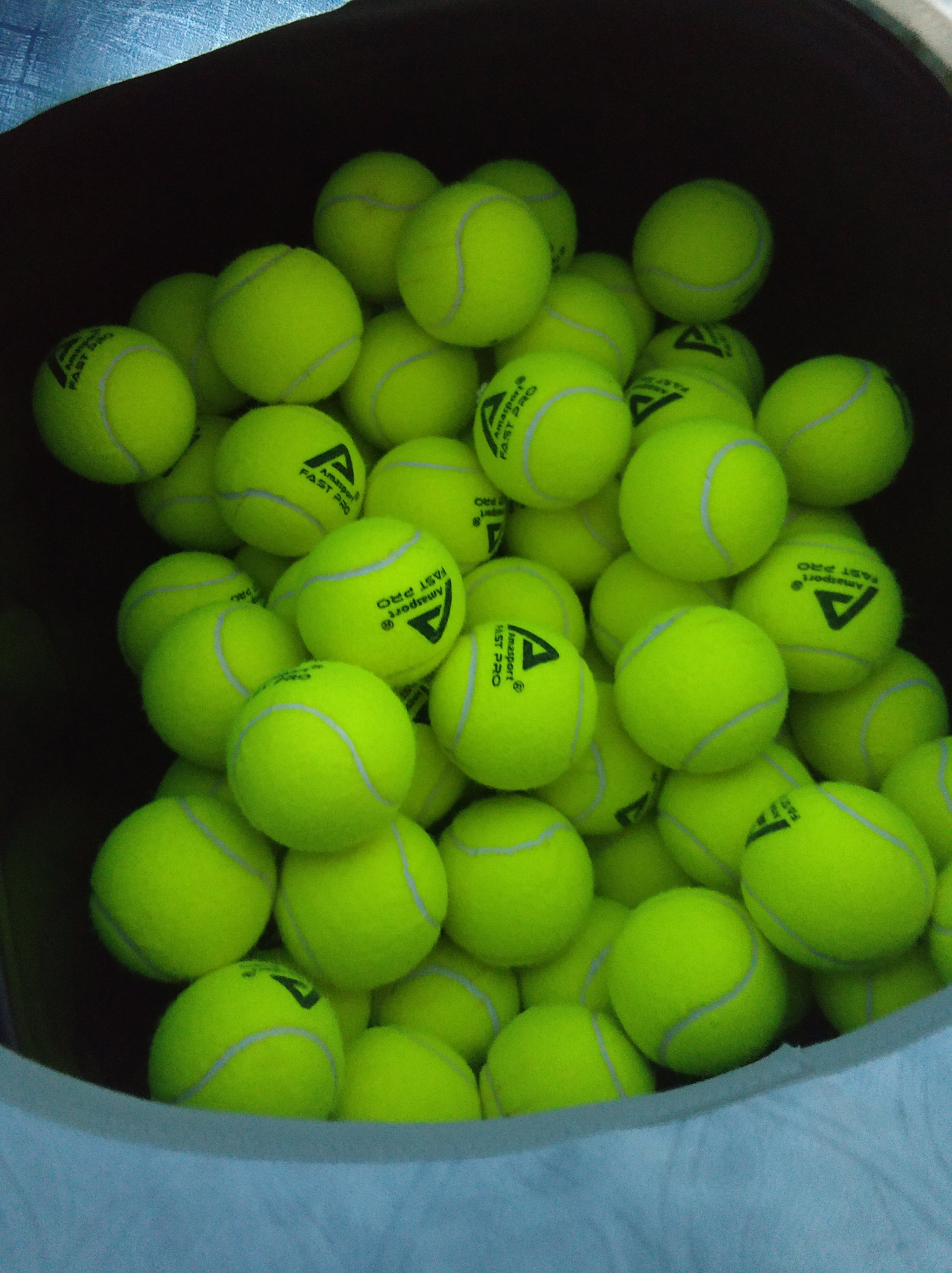 的努力與光 的努力與光