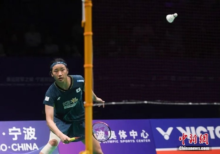 队员们展示 队员们展示